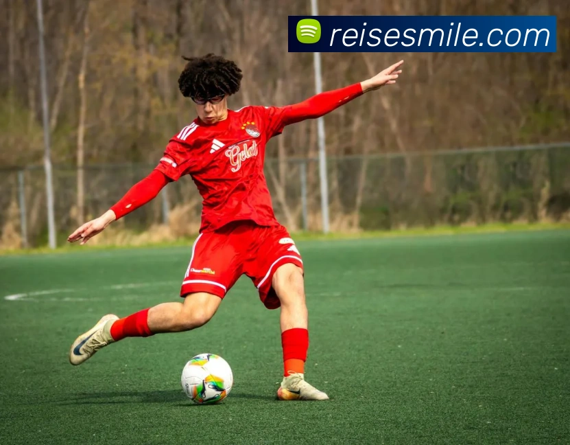 多终端兼容